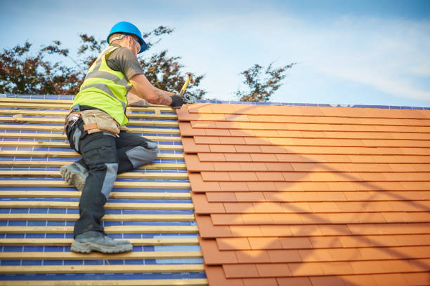 Best Chimney Flashing Repair  in Leadville North, CO